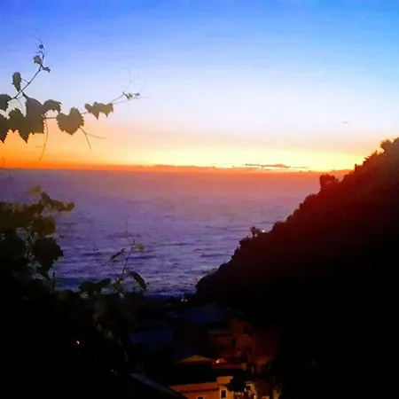 ゲストハウス Olimpo