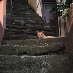 Olimpo Μαναρόλα