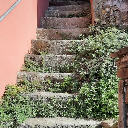 Olimpo Guest house