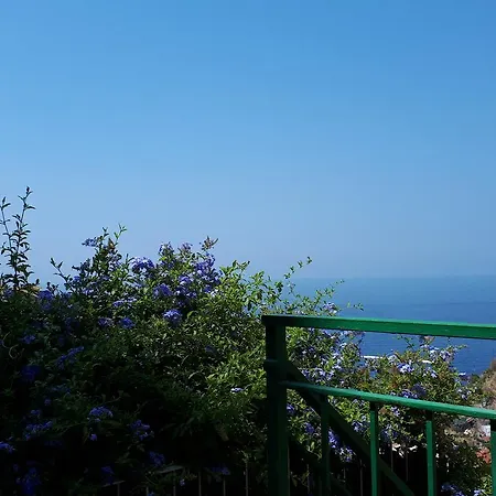 Olimpo Guest house 3*